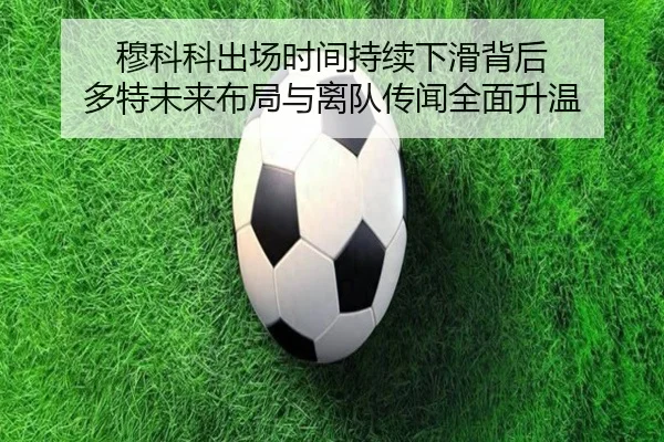 img_1780792679658_3846_1_313.jpg
